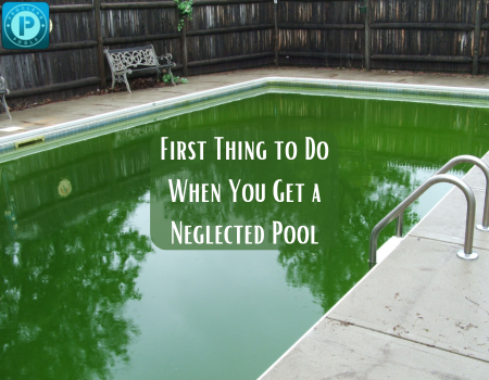 First Thing to Do When You Get a Neglected Pool