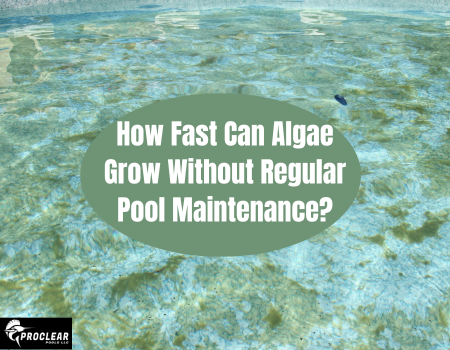 How Fast Can Algae Grow Without Regular Pool Maintenance?