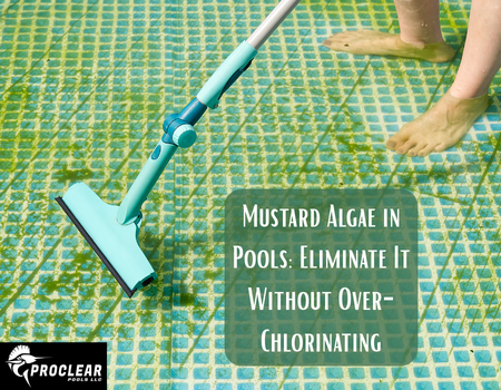 Mustard Algae in Pools: Eliminate It Without Over-Chlorinating