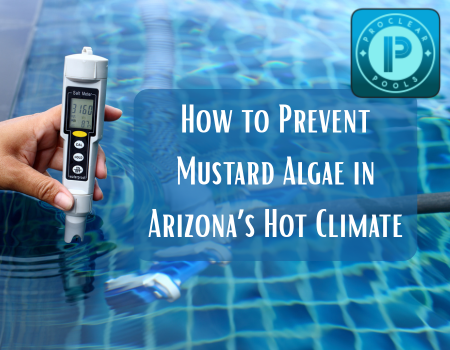 How to Prevent Mustard Algae in Arizona’s Hot Climate
