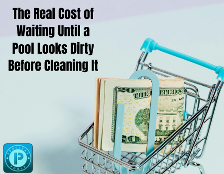 The Real Cost of Waiting Until a Pool Looks Dirty Before Cleaning It